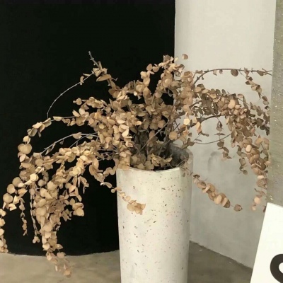 Furry二次元插画创作技巧FurryQQ群